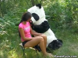 Брудна фільм в в woods з a величезний іграшка panda